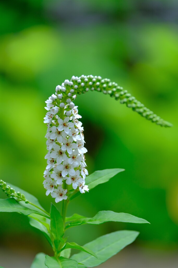 散歩の途中で。４