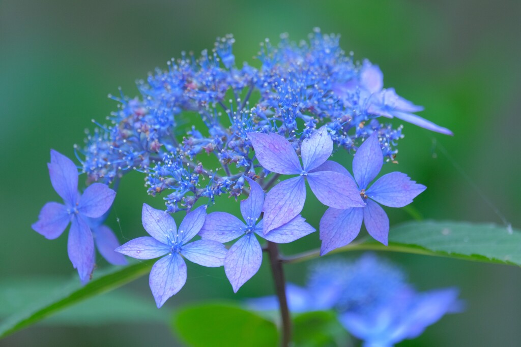 散歩の途中で。