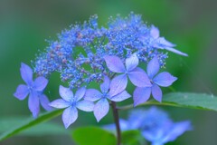 散歩の途中で。