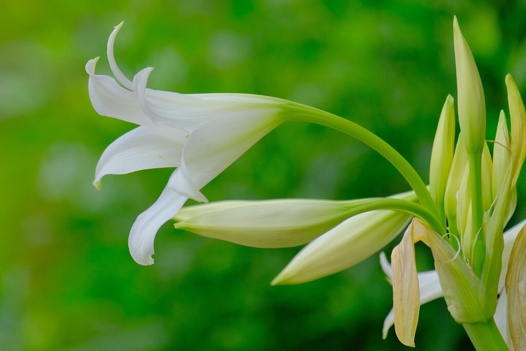 散歩の途中で。