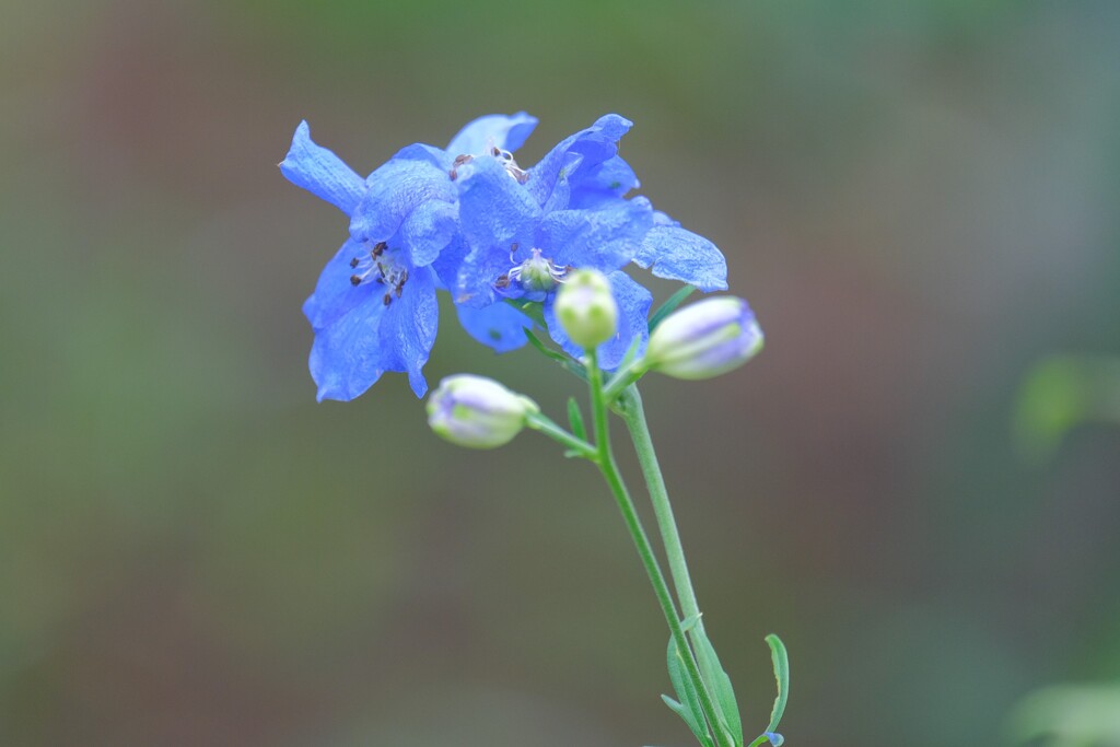 散歩の途中で。