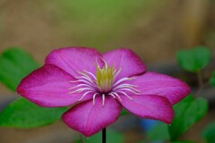 散歩の途中で。11