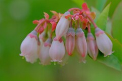 散歩の途中で。⑩