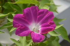 散歩の途中で。１