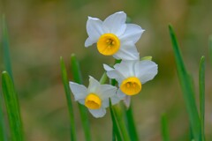 散歩の途中で。５