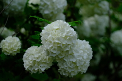 散歩の途中で。⑦