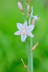 散歩の途中で。Ⅹ