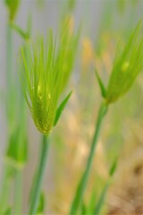 散歩の途中で。１