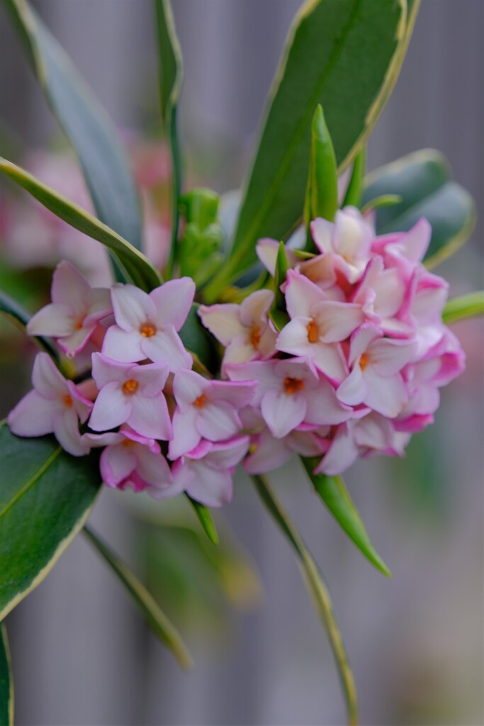 散歩の途中で。⑪