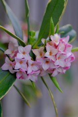 散歩の途中で。⑪