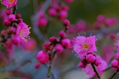 散歩の途中で。６