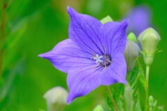 散歩の途中で。Ⅹ