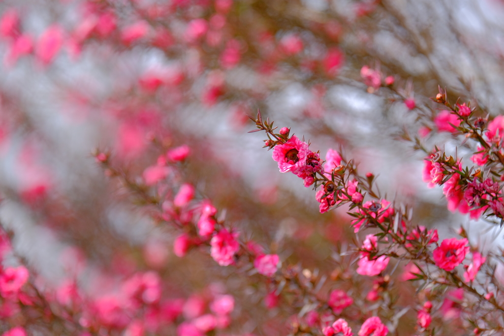 散歩の途中で。②