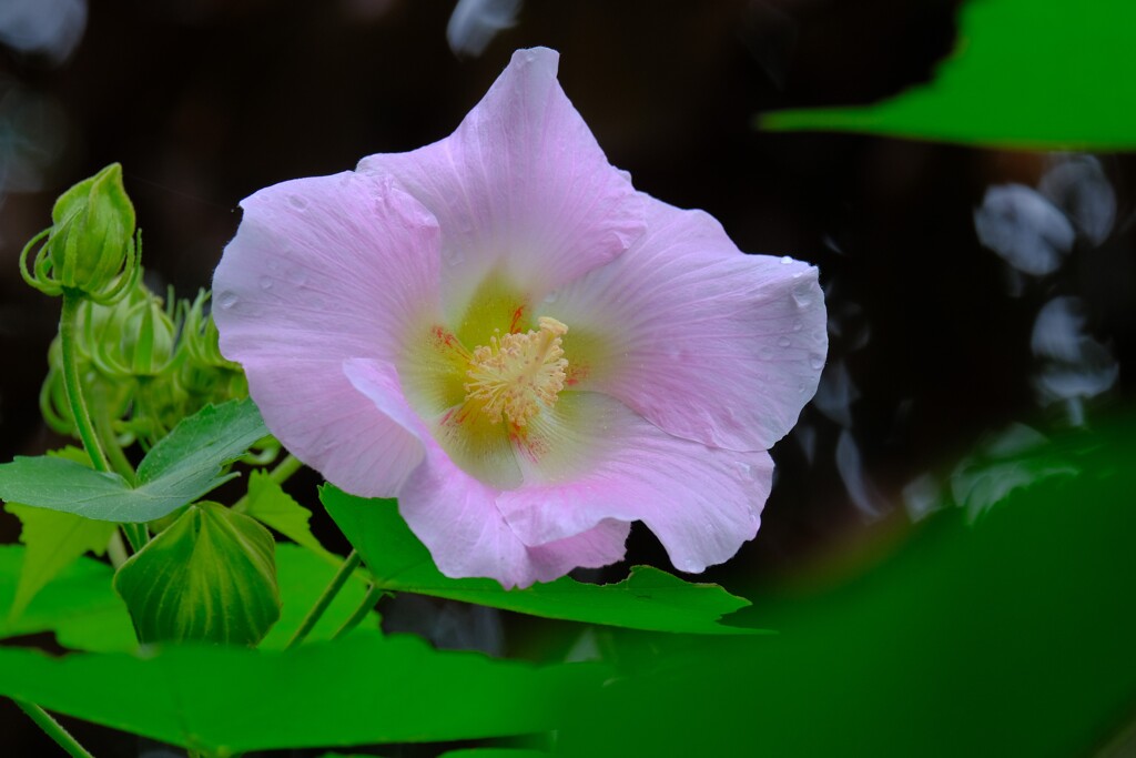 散歩の途中で。２