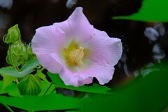 散歩の途中で。２