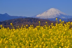 散歩の途中で。5