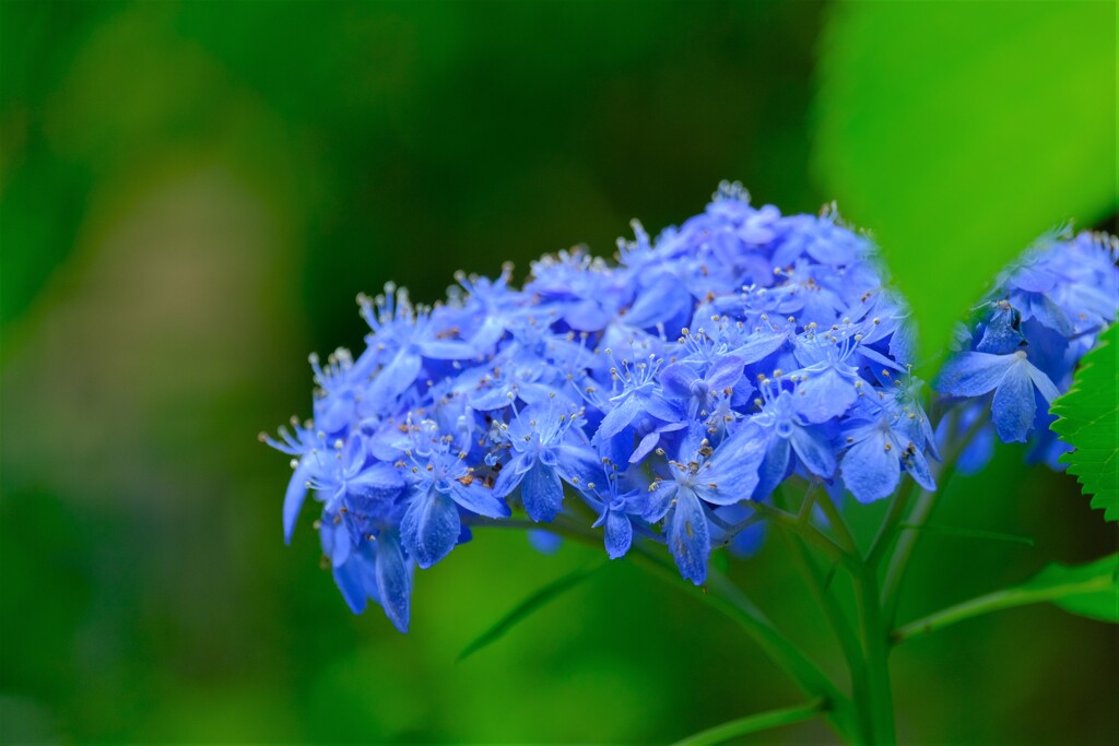 散歩の途中で。８