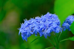 散歩の途中で。８