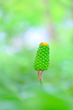 散歩の途中で。