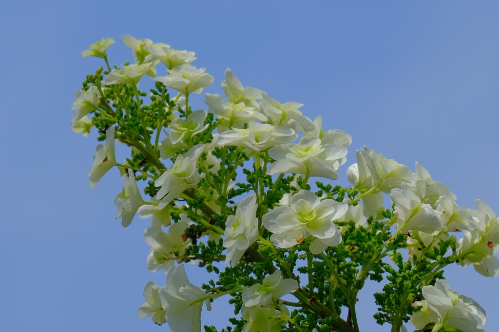 散歩の途中で。Ⅰ