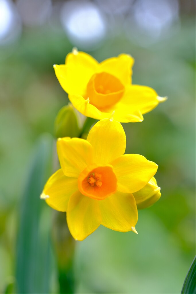 散歩の途中で。Ⅲ