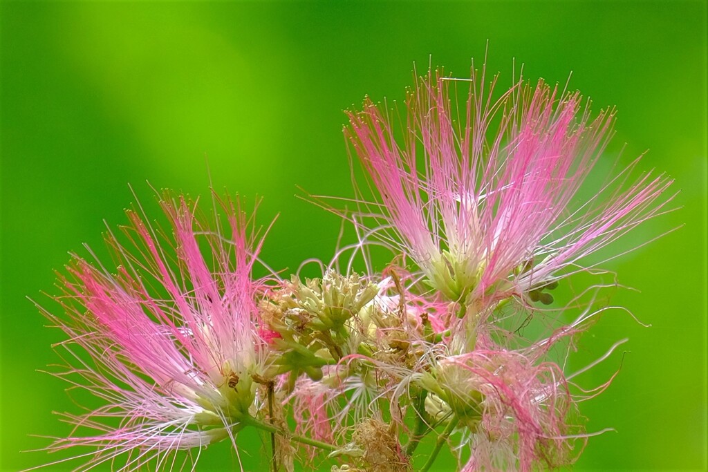 散歩の途中で。Ⅰ