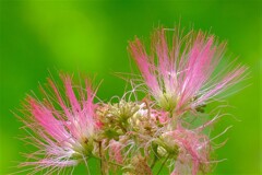 散歩の途中で。Ⅰ