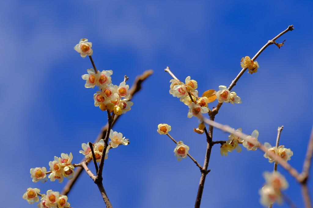 散歩の途中で。②