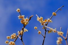 散歩の途中で。②