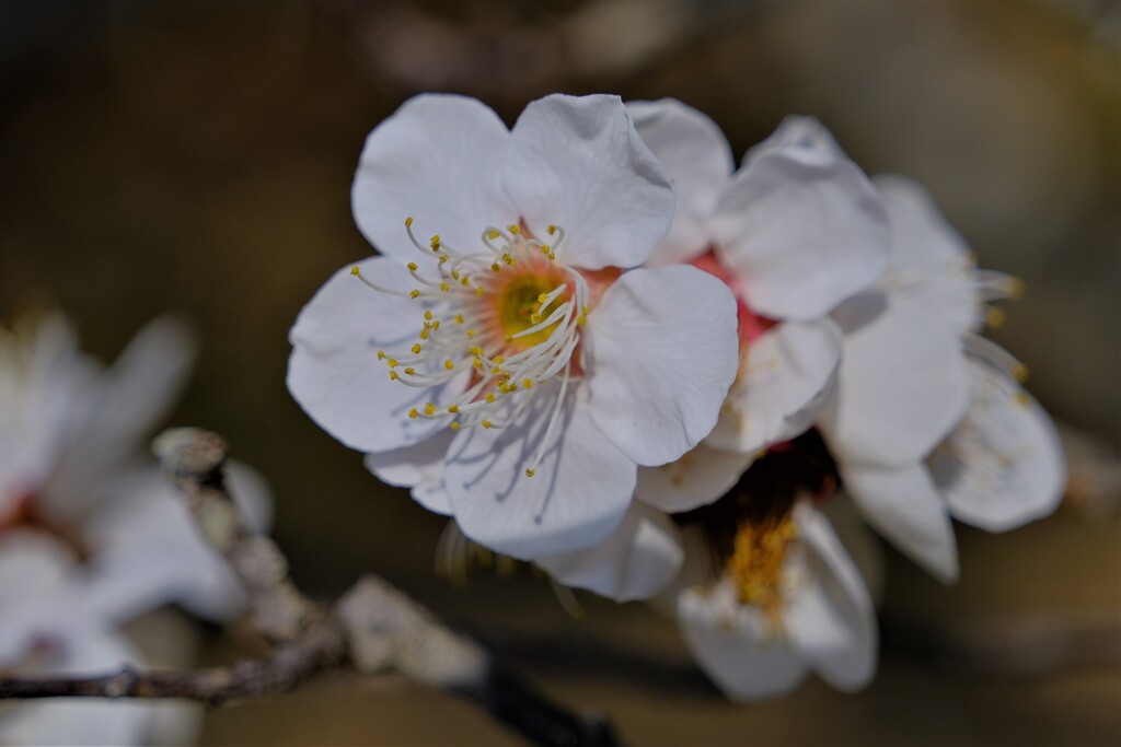散歩の途中で。Ⅱ