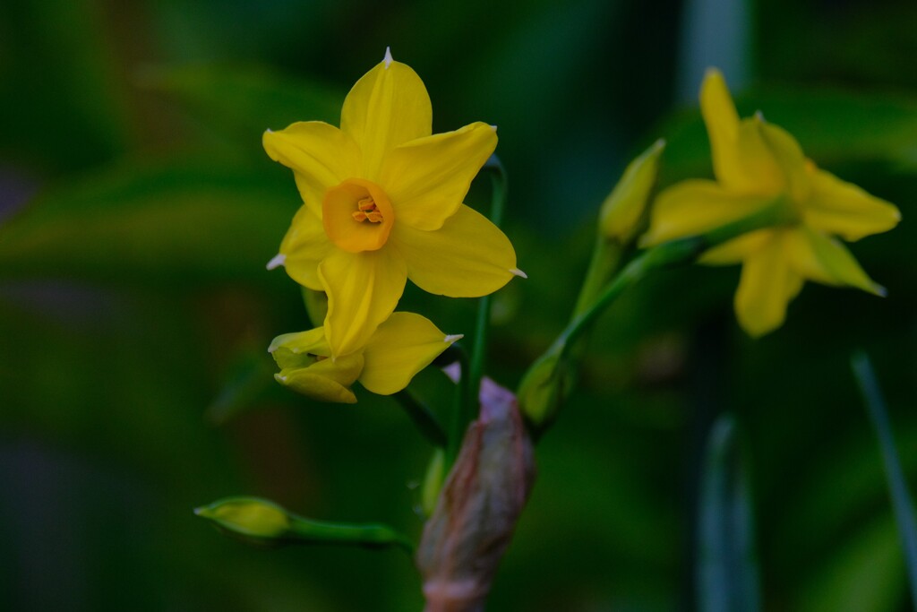 散歩の途中で。15