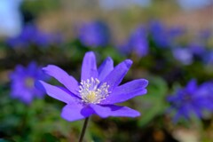 散歩の途中で。③