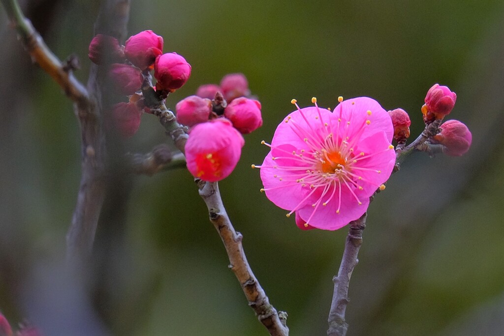 散歩の途中で。Ⅲ