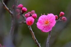 散歩の途中で。Ⅲ