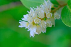 散歩の途中で。Ⅷ