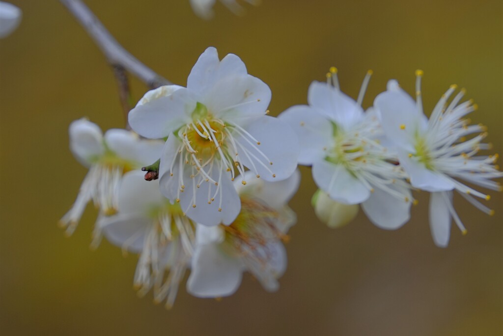 散歩の途中で。７