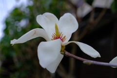 散歩の途中で。Ⅰ