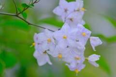 散歩の途中で。2