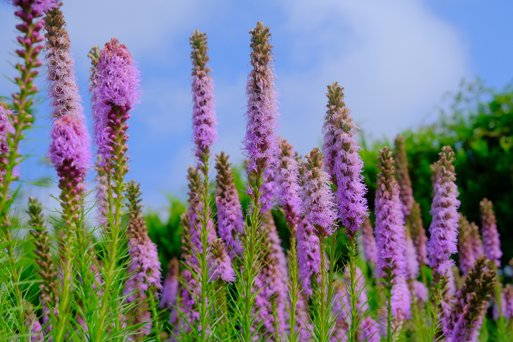 散歩の途中で。