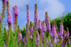 散歩の途中で。