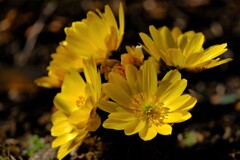 散歩の途中で。4