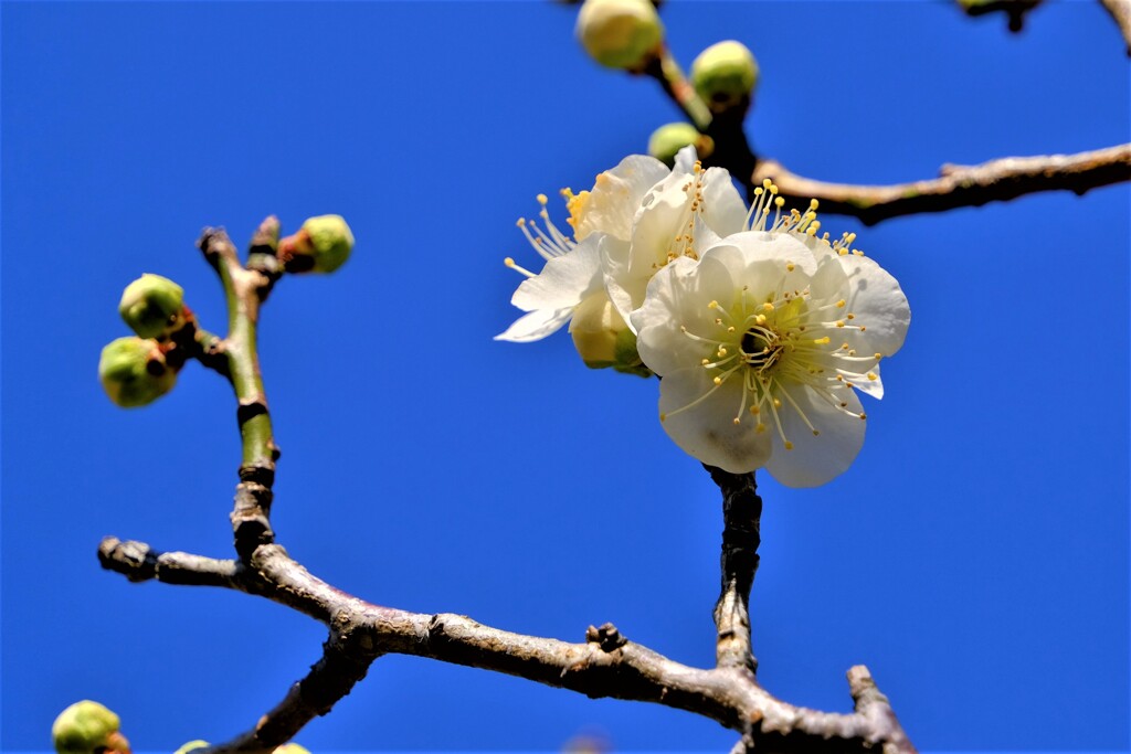 散歩の途中で。９