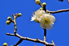 散歩の途中で。９