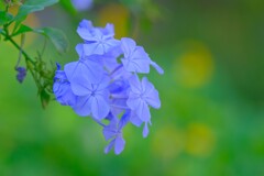 散歩の途中で。Ⅳ