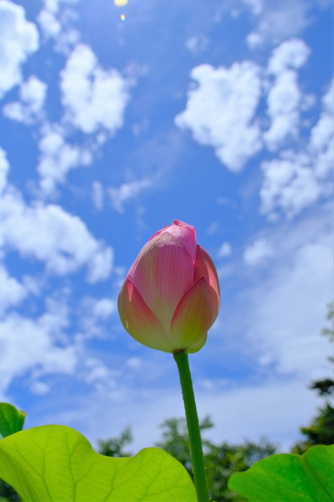 散歩の途中で。Ⅲ