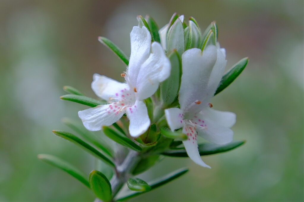 散歩の途中で。１