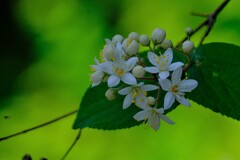 散歩の途中で。6