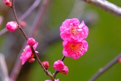 散歩の途中で。Ⅱ