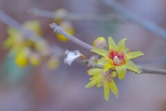 散歩の途中で。④