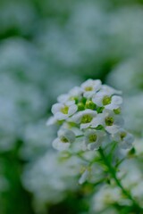 散歩の途中で。⑩